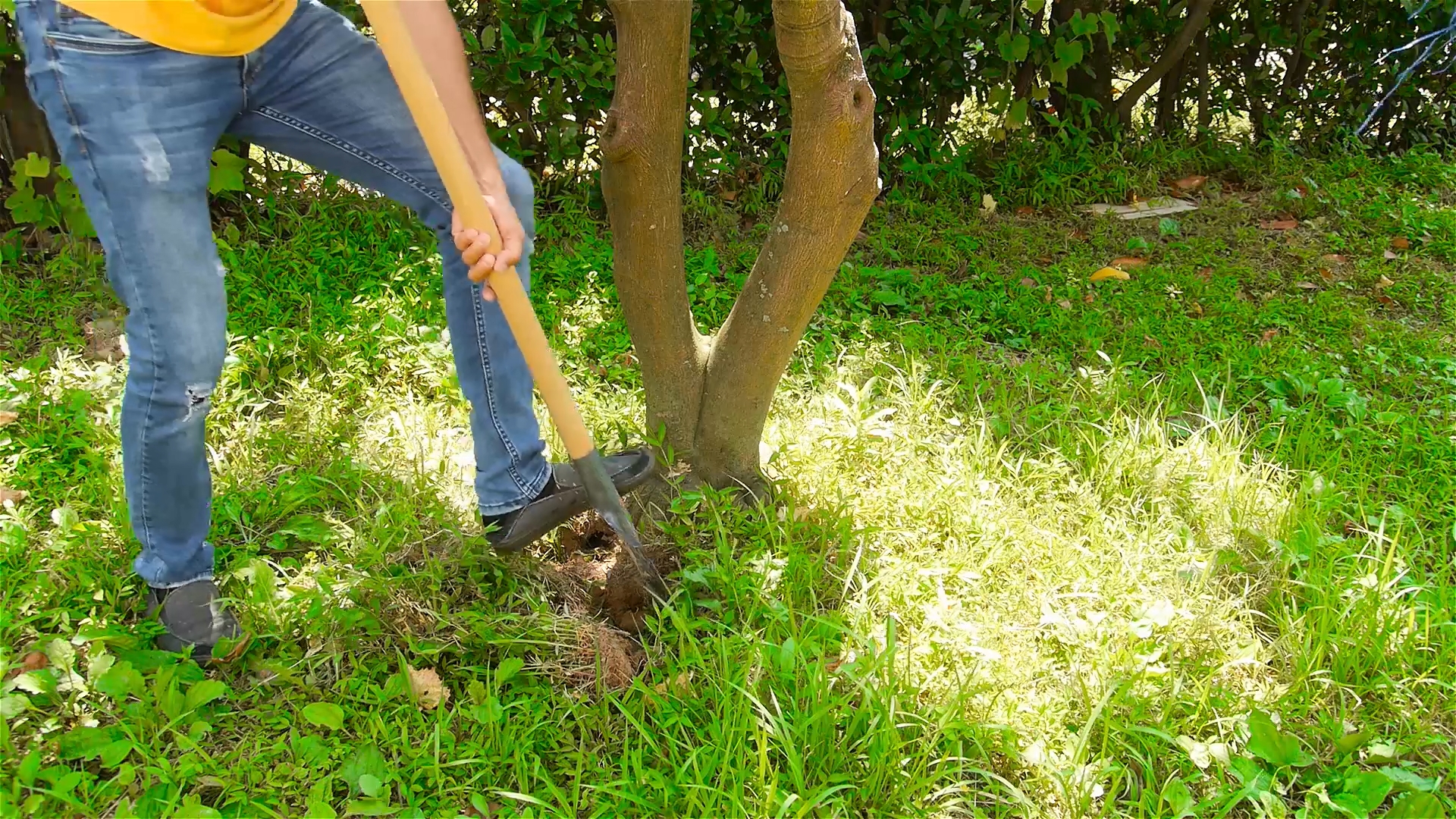 Refaire son Jardin Luxe Ment Délimiter Une Pelouse 10 étapes Avec Images