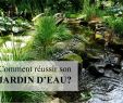 Refaire son Jardin Luxe Ment Faire son Jardin D Eau Trucs Et astuces Pour