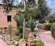 Refaire son Jardin Nouveau Sawadi Ecolodge B&b Tajante Maroc Tarifs 2020 Mis  