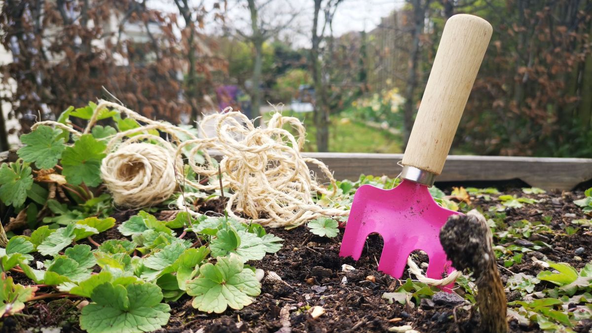 Refaire son Jardin Unique En Confinement 5 Conseils Pour Préparer Mon Jardin