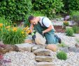 Refaire son Jardin Unique Pourquoi Faire Appel   Un Paysagiste Pour Refaire son Jardin