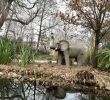 Restaurant Jardin D Acclimatation Beau Jardin D Acclimatation Paris 2020 All You Need to Know