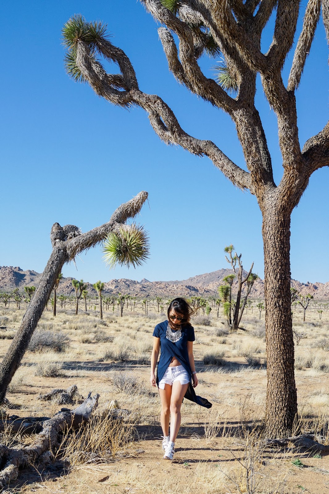 Salle A Manger Ikea Luxe Appreciating Joshua Tree – Trend Envy