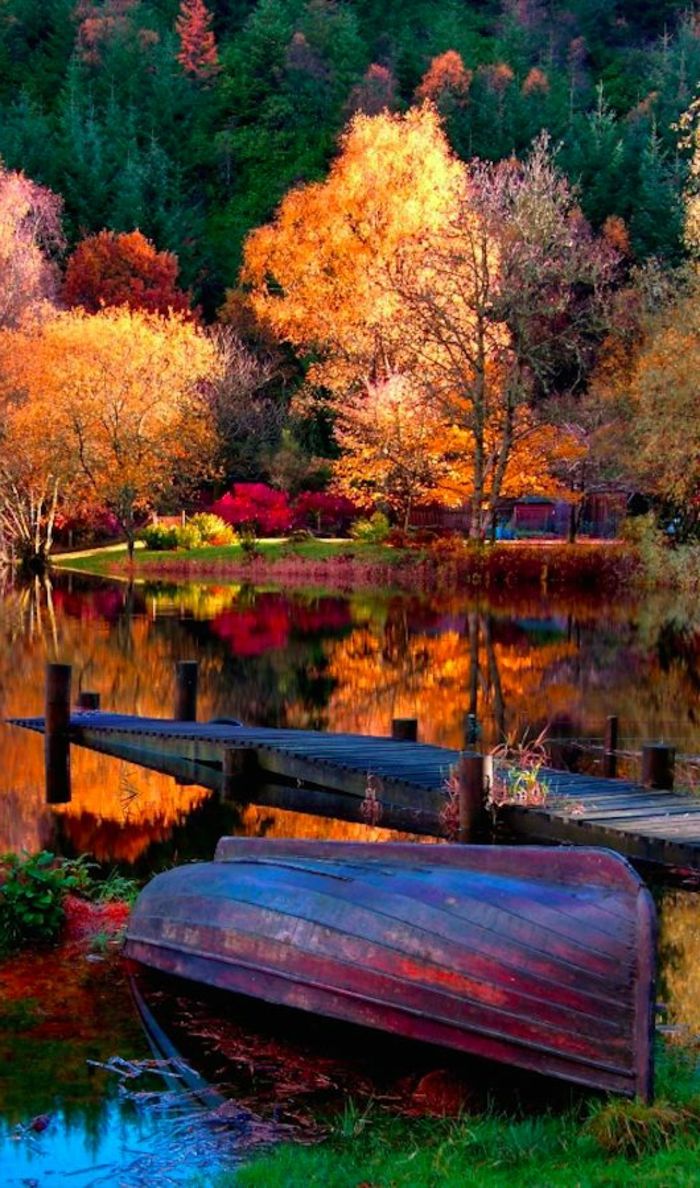 paysage automne barque au bord du lac forestier r C3 A9flexions des arbres