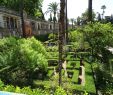 Salon De Jardin Occasion Nouveau Jardines De Los Reales Alcazares Seville 2020 All You