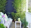Salon De Jardin Pour Balcon Best Of Plante Balcon Ombre