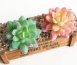 Salon De Jardin Pour Balcon Luxe Mini Bricolage Artificiels Succulentes Bonsa¯ Plante Faux Fleur Jardin ornements En Pot Maison Balcon Décoration Plantes Succulentes