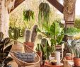 Salon De Jardin Pour Balcon Unique 20 Idées Déco Pour Faire Entrer L été Chez soi