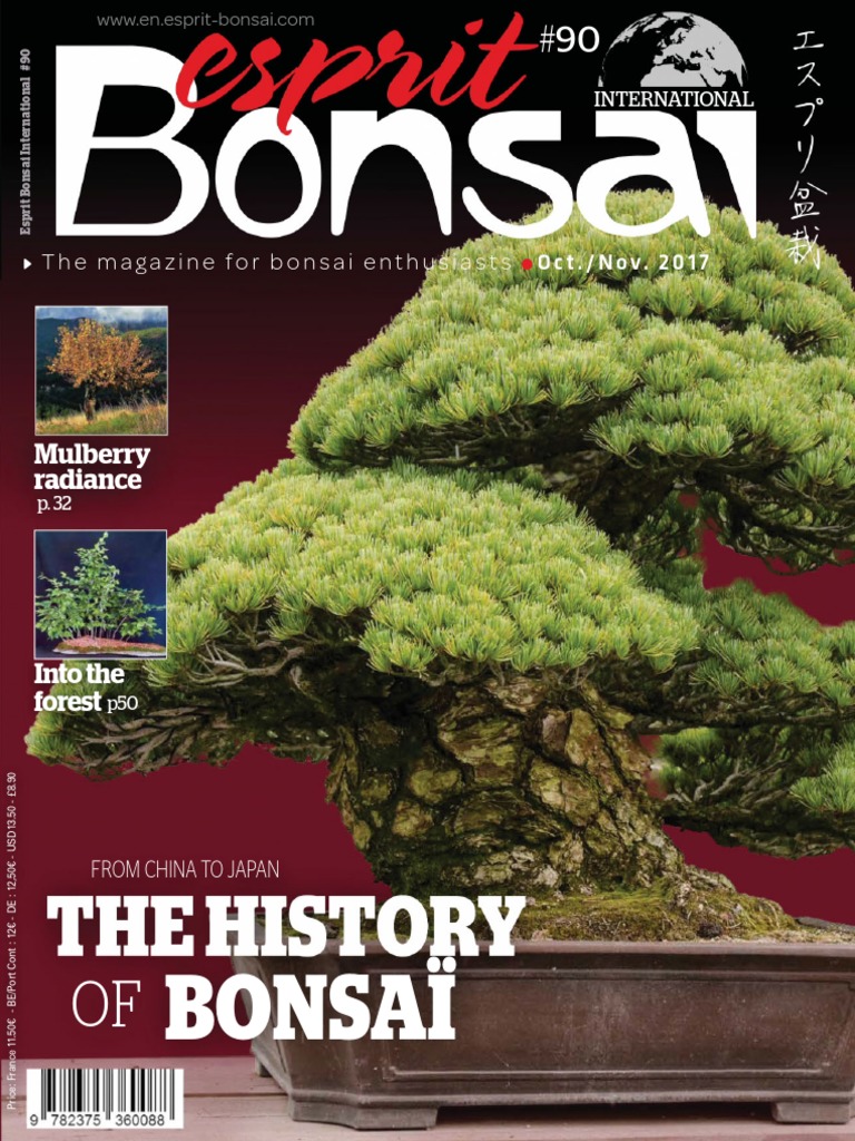 Salon De Jardin Riverside Wicker Line Nouveau Esprit Bonsai International October November 2017 Pdf