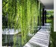 Salon De Jardin Super U Génial 343 Best House Plan Images In 2020