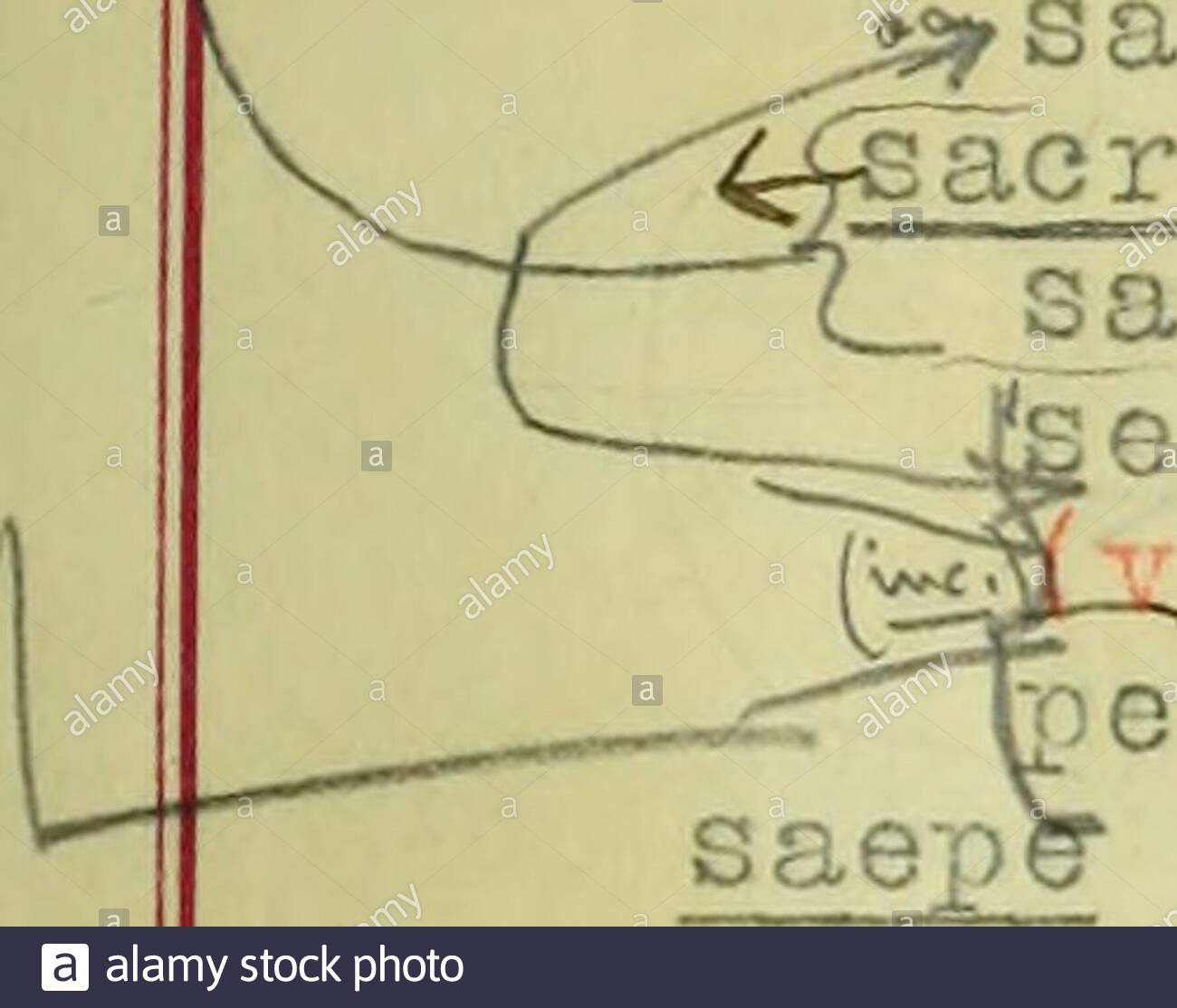 a critical concordance to senecas hercules furens sacrum revocavit aestac hp 841ronsume sacrum iip 1039 m t tm r r sacraiacent hp 56 sacra patriet superis feram hp 89fs 1i1cuc acrificus as tege papula hp 895 creta reddam sacra hp 301ictimis sacra scolam e hp 899r sanctasacra hp 1246 iaepe transit hp 328saeperapit hp 676iam saepe decepto hp 754saepeobfuit hp 1187saepeobtinuit hp 1238 semper esaevio saevit horrendum llimans iip 981ipse saevit iip 1221saevus saevus dolor hp 28saevus lye us hp 329saevuscanis hp 783 rex saevus ef 1255 s 2AXH3X8