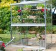 Serre De Jardin En Verre Belgique Charmant Mini Serre De Jardin En Verre Et Aluminium H 150cm