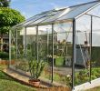 Serre De Jardin En Verre Belgique Charmant Serre De Jardin Prestige 11 35m2 R305h