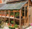 Serre De Jardin En Verre Belgique Élégant Serre De Jardin Au Meilleur Prix