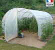 Serre De Jardin En Verre Belgique Nouveau Grande Serre Tunnel De Jardin 2 Portes 3m X 6m 18m2