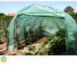 Serre De Jardin En Verre Leroy Merlin Nouveau Serre Tunnel Egt Garden L 300 X P 300 X H 200 Cm