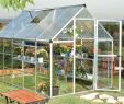 Serre De Jardin Polycarbonate Charmant Polykarbonátov½ Sklen­k Palram Hybridâ¢ 6x8 Cz