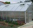 Serre De Jardin Polycarbonate Élégant Les 87 Meilleures Images De tout Pour Le Potager