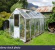 Serre De Jardin Polycarbonate Luxe Greenhouse Clean Stock S & Greenhouse Clean Stock