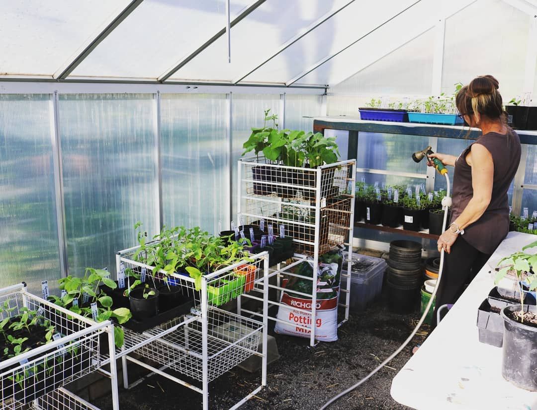 Serre De Jardin Polycarbonate Luxe Lots Of Pots Moved Into the Greenhouse today to Make Room In