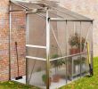 Serre De Jardin Polycarbonate Luxe Serre De Jardin Adossée Avec Base Incl Demi Serre Et