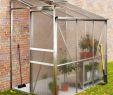 Serre De Jardin Polycarbonate Luxe Serre De Jardin Adossée Avec Base Incl Demi Serre Et