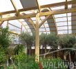 Serre De Jardin Polycarbonate Unique Wooden Exhibition Halls Serres De Mi¨res Vougy France