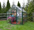 Serre Jardin Polycarbonate Best Of Palram Harmonyâ¢ Green Greenhouses Serre De Jardin Vert En Fr