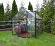 Serre Jardin Polycarbonate Best Of Palram Harmonyâ¢ Green Greenhouses Serre De Jardin Vert En Fr