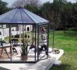 Serre Jardin Polycarbonate Best Of Serre De Jardin Palram Hexagonale Aluminium Et Polycarbonate Oasis 8 M²
