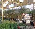 Serre Jardin Polycarbonate Best Of Wooden Exhibition Halls Serres De Mi¨res Vougy France