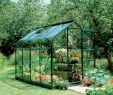 Serre Jardin Polycarbonate Charmant Green B&q 6x8 toughened Safety Glass Greenhouse