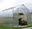 Serre Jardin Polycarbonate Frais Serre De Jardin Bella 11 4 M² Aluminium Et Polycarbonate