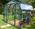 Serre Jardin Polycarbonate Frais Serre De Jardin Grand Gardener 6 8 M² Aluminium Et