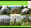 Serre Jardin Polycarbonate Génial D´me Géodésique Freed Home by Aaofficielclip