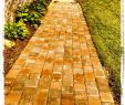 Serre Jardin Polycarbonate Luxe Pavers Make A Great Walkway On Shady Side Of House where