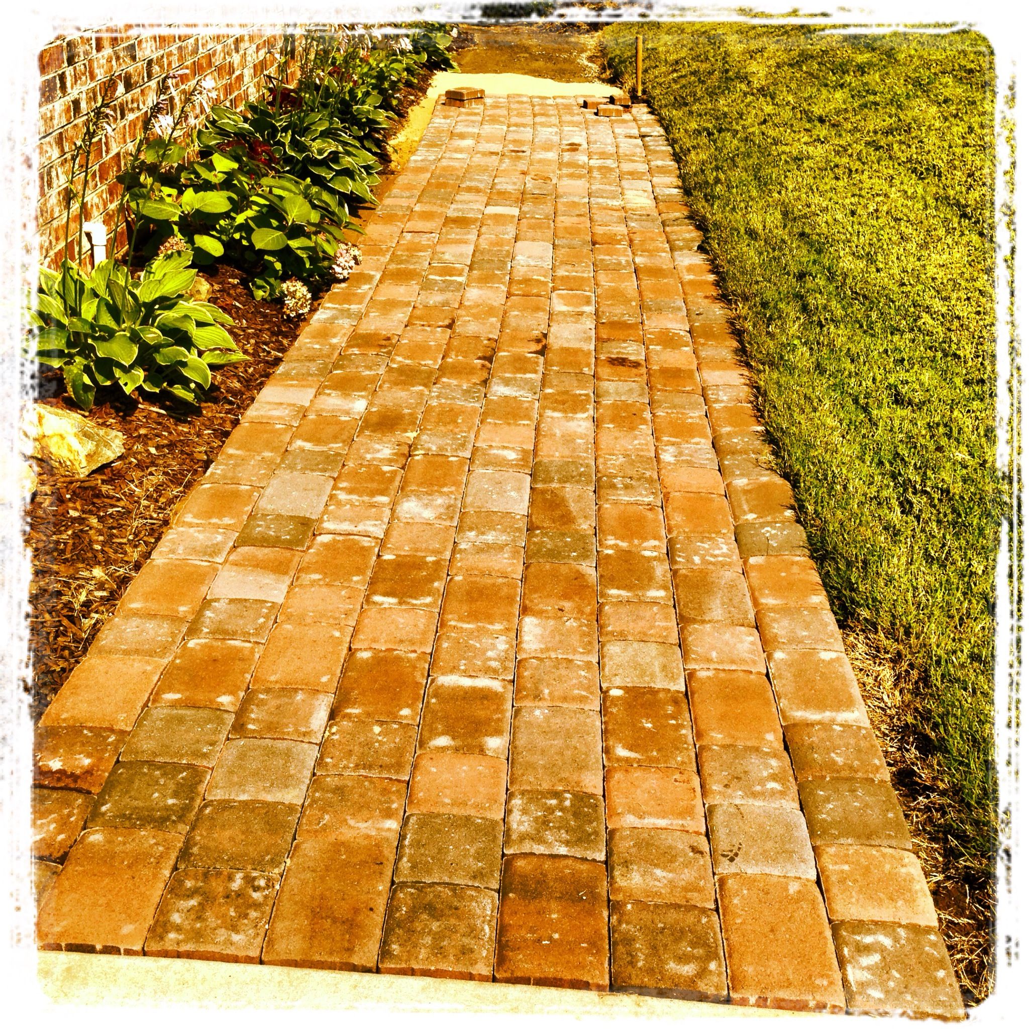Serre Jardin Polycarbonate Luxe Pavers Make A Great Walkway On Shady Side Of House where