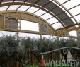 Serre Jardin Polycarbonate Luxe Wooden Exhibition Halls Serres De Mi¨res Vougy France
