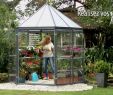 Serre Jardin Polycarbonate Nouveau Serre De Jardin Hexagonale Palram Aluminium Polycarbonate Oasis 3 8 M²