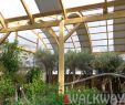 Serre Jardin Polycarbonate Unique Wooden Exhibition Halls Serres De Mi¨res Vougy France