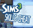 Sims 3 Jardinage Élégant Sims 3 Debug Enabler Mod Skills Cheat