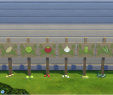 Sims 3 Jardinage Génial Ajoya S â¢ Simblr • 8 Garden Signs Vegetable Details