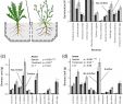 Super U Table De Jardin Nouveau Root Volatiles In Plant–plant Interactions I High Root