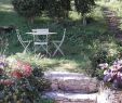 Table De Jardin Beau Charme Et Jardin Coeur St Cirq Prices & Guest House