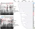 Table De Jardin Leclerc Nouveau Secretome Profiling Of Propionibacterium Freudenreichii