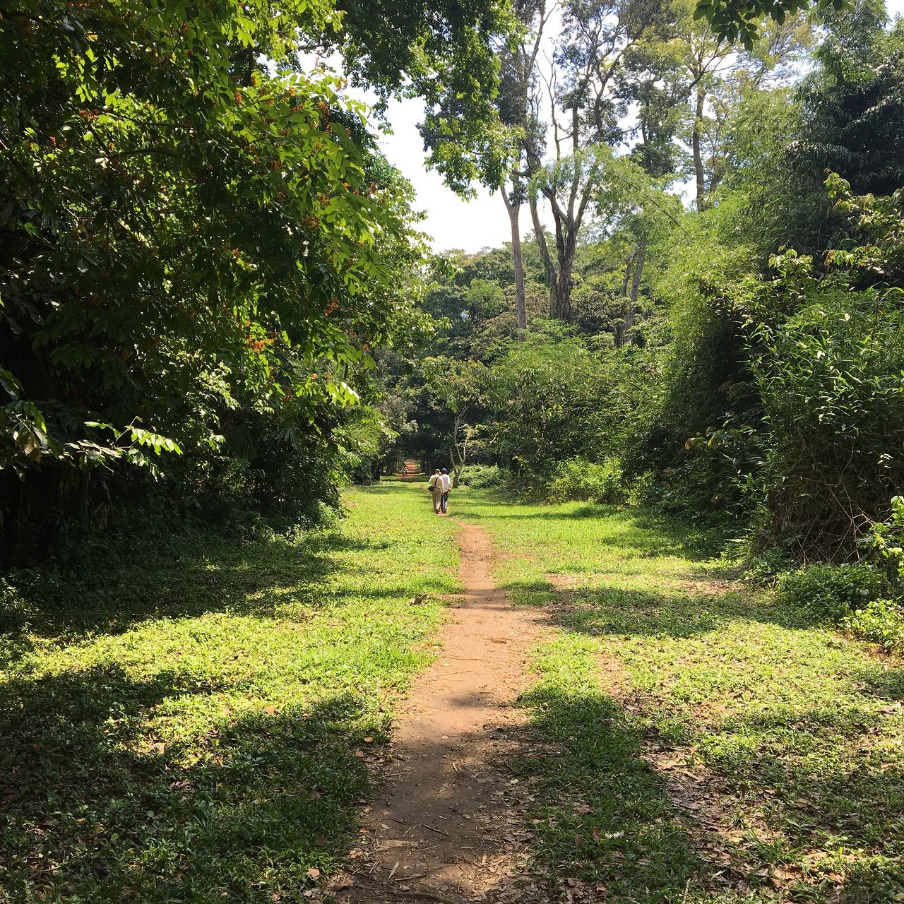 jardin botanique de kisantu