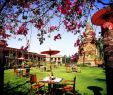 Table De Jardin Pas Cher Élégant Hotel Reviews Of Thazin Garden Hotel Bagan Myanmar Page 1