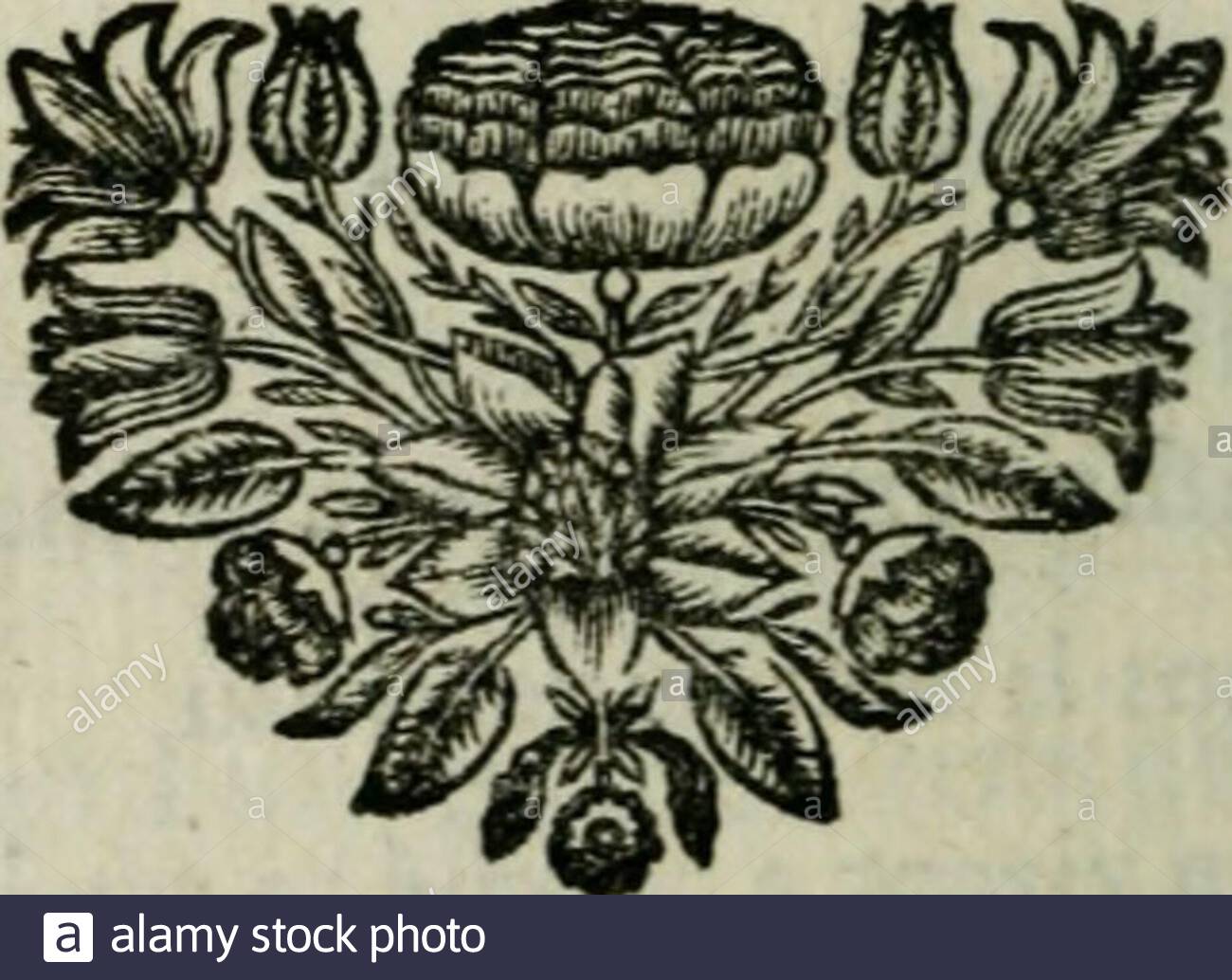 Table De Jardin Pas Cher Unique S & M Stock S & S & M Stock Page 11 Alamy