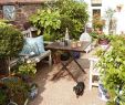 Table De Jardin Plastique Beau Small Garden Ideas to Make the Most Of A Tiny Space