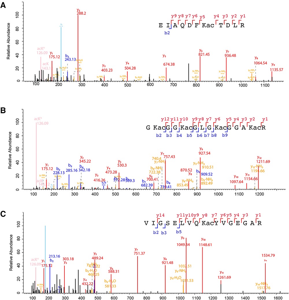 Table De Jardin Plastique Génial Global Proteome Analysis Links Lysine Acetylation to Diverse